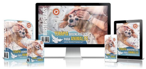 curso terapias holísticas para animales