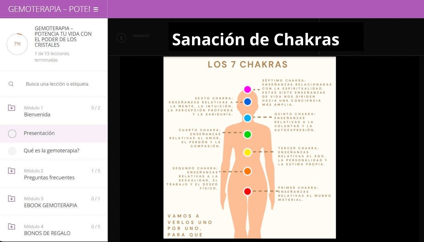 WhatsApp Image 2024 02 11 at 11.26.58 AM curso gemoterapia cristales y piedras