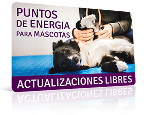 bono15 pem sanacion para mascotas