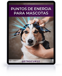 bono3 pem sanacion para mascotas
