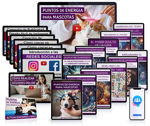 curso pem sanacion para mascotas