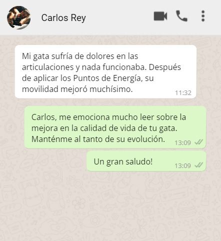 testim3 sanacion para mascotas