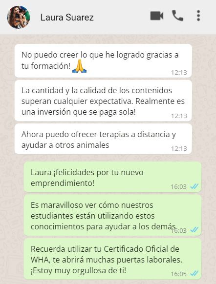 testim4 sanacion para mascotas