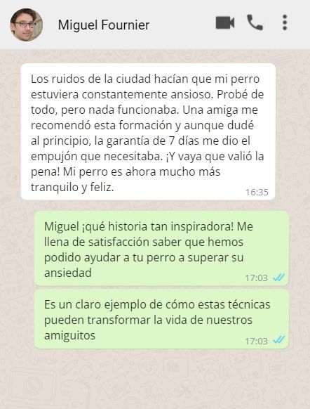 testim5 sanacion para mascotas