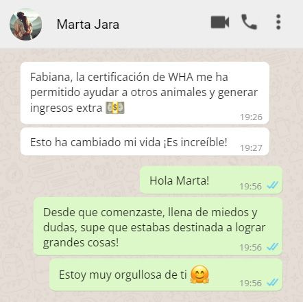 testim7 sanacion para mascotas