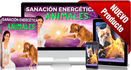 sanación energética con las manos en animales sanación energética con las manos en animales