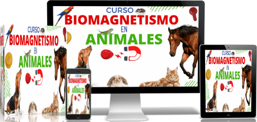 curso online terapia con imanes animales y mascotas curso online terapia con imanes animales y mascotas